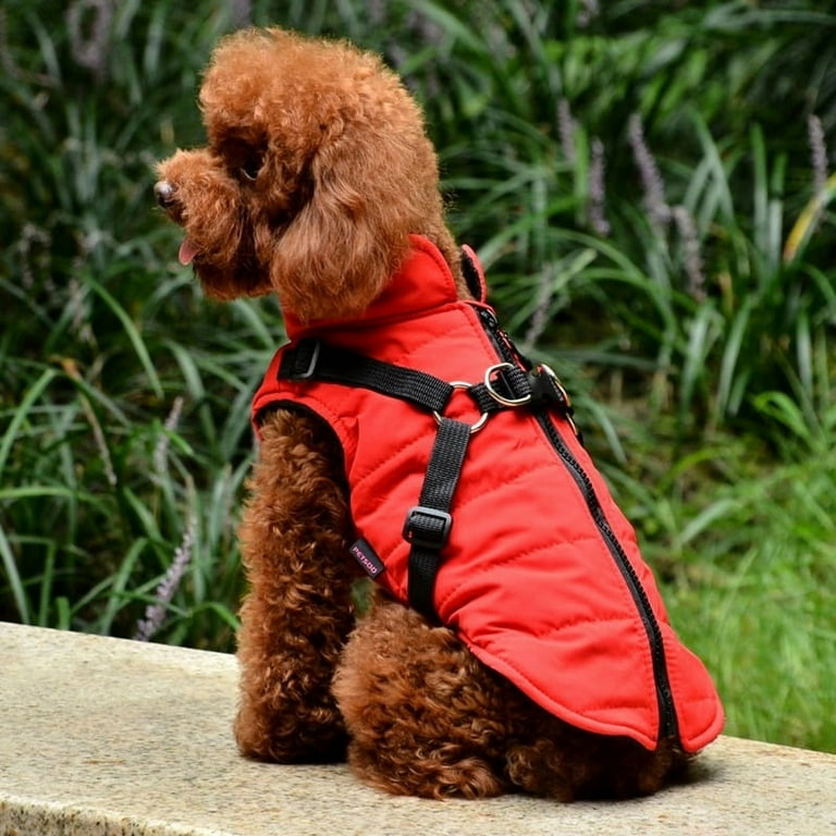 Walmart store dog coat