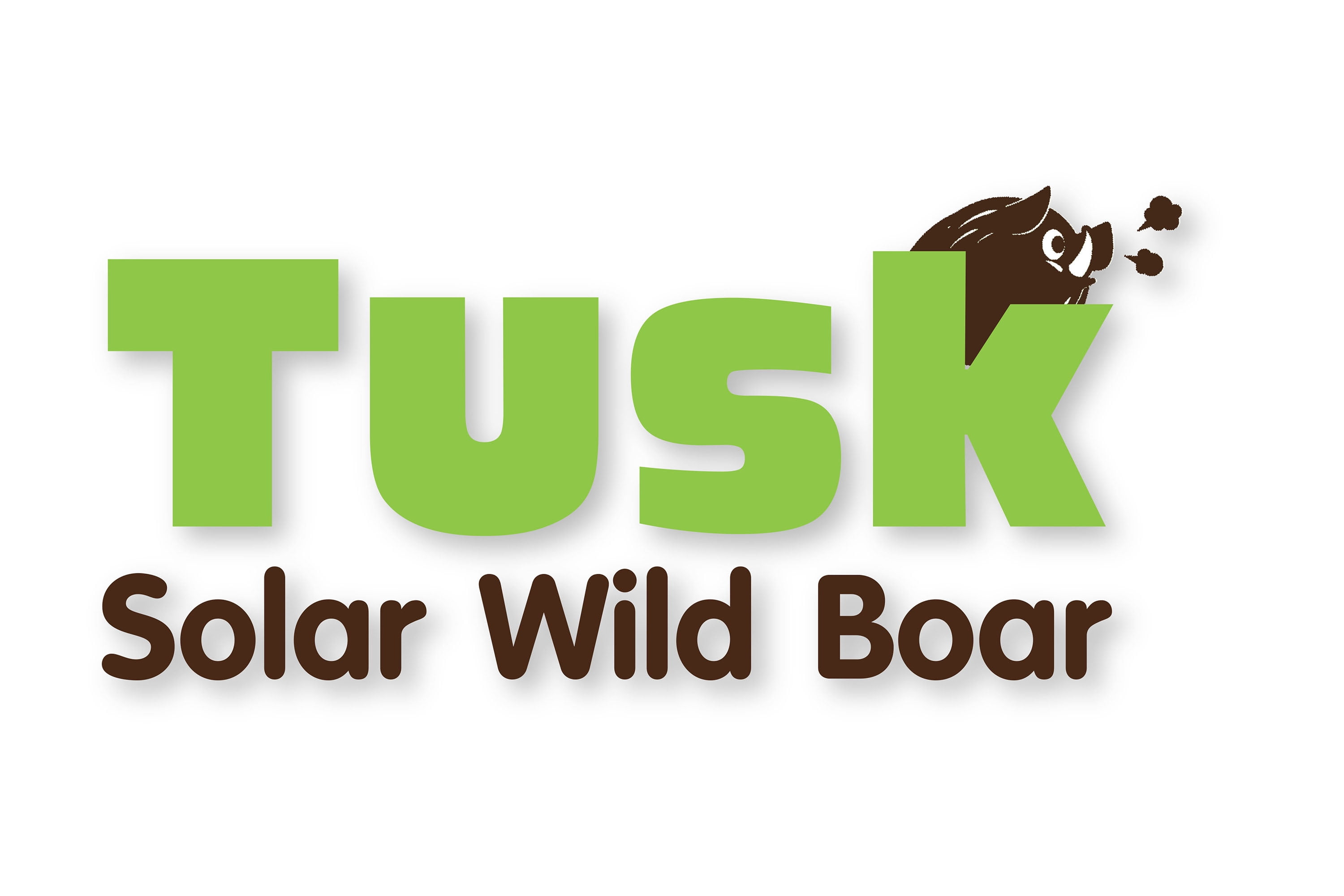 Solar Wild Boar Building Model Kit Ideal For a Do it yourself Science Fair Spring Workshop Project