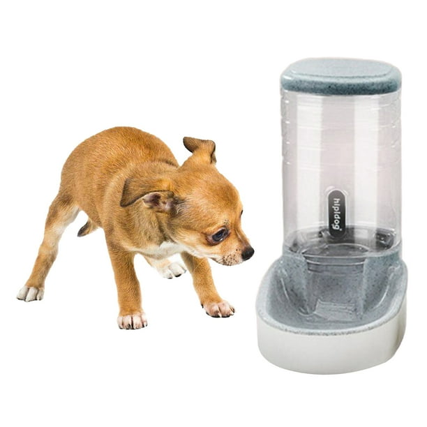 Dog feeder for 2025 large dogs