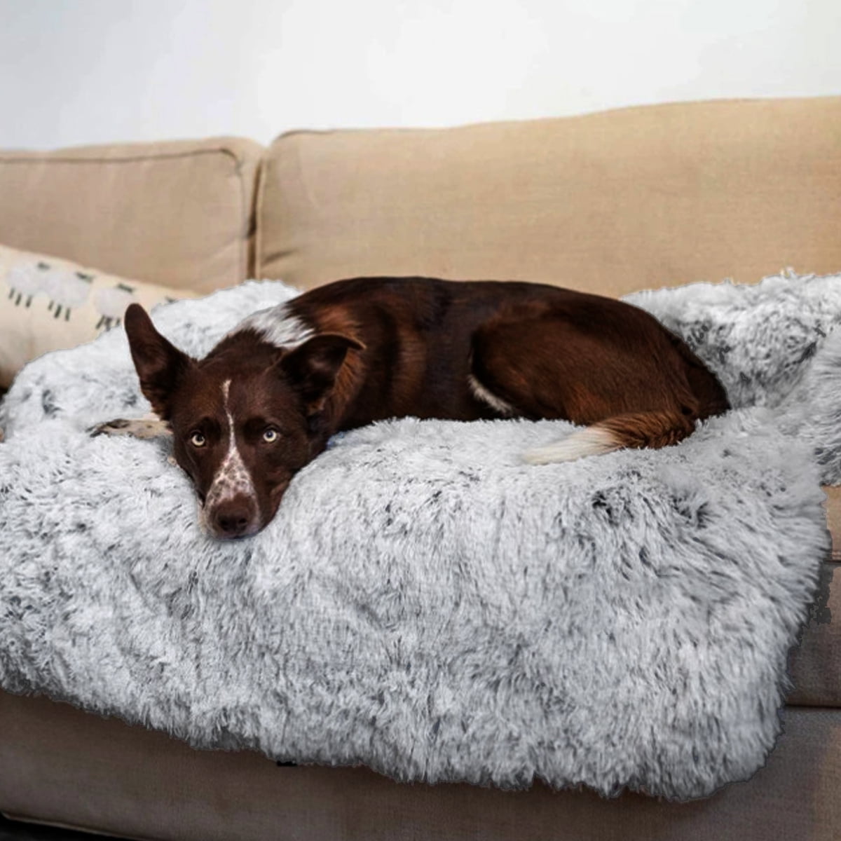 Plufl The Dog Bed For Humans By Plufl — Kickstarter