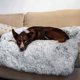 thumbnail image 3 of Muyoka Cojín de sofá cama para perro de felpa suave resistente al desgaste e impermeable para perros y gatos para dormir al aire libre para viajes a casa Muyoka Hogar, 3 of 5