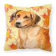 thumbnail image 1 of Carolines Treasures BB9937PW1818 Rhodesian Ridgeback Fall Fabric Decorative Pillow, 1 of 2
