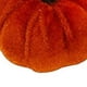 thumbnail image 3 of Txlixc Mini - calabazas de terciopelo, pequeñas calabazas artificiales para decoraciones de Acción de gracias Txlixc  moda, 3 of 9