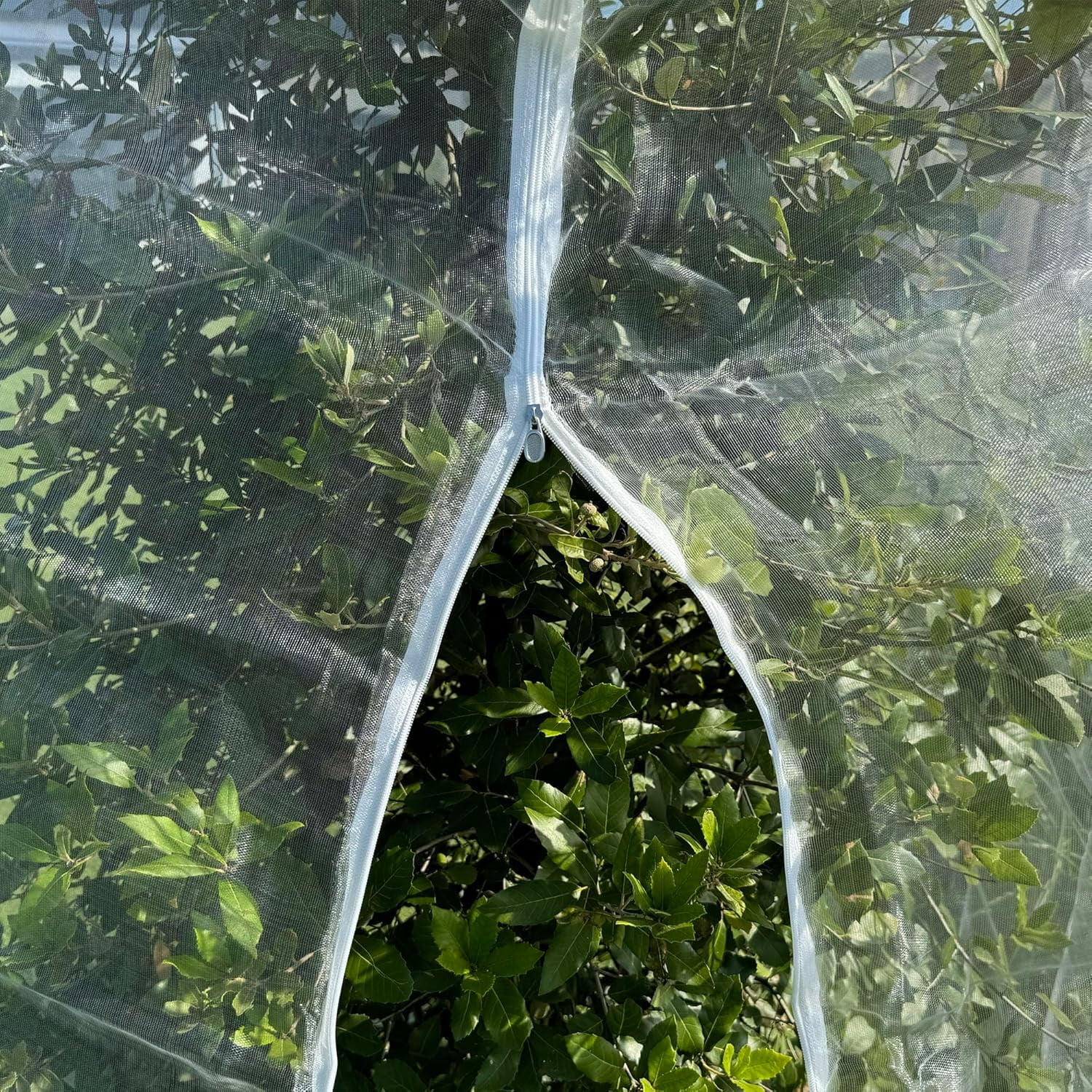Fruit Tree Protection Bags 6.5x8.5 FT | Multiple Size Garden Netting for Fruit & Vegetable Protection | White Plant Net Cover for Blueberry & Tomato | Bird & Insect Mesh Fabric Protector