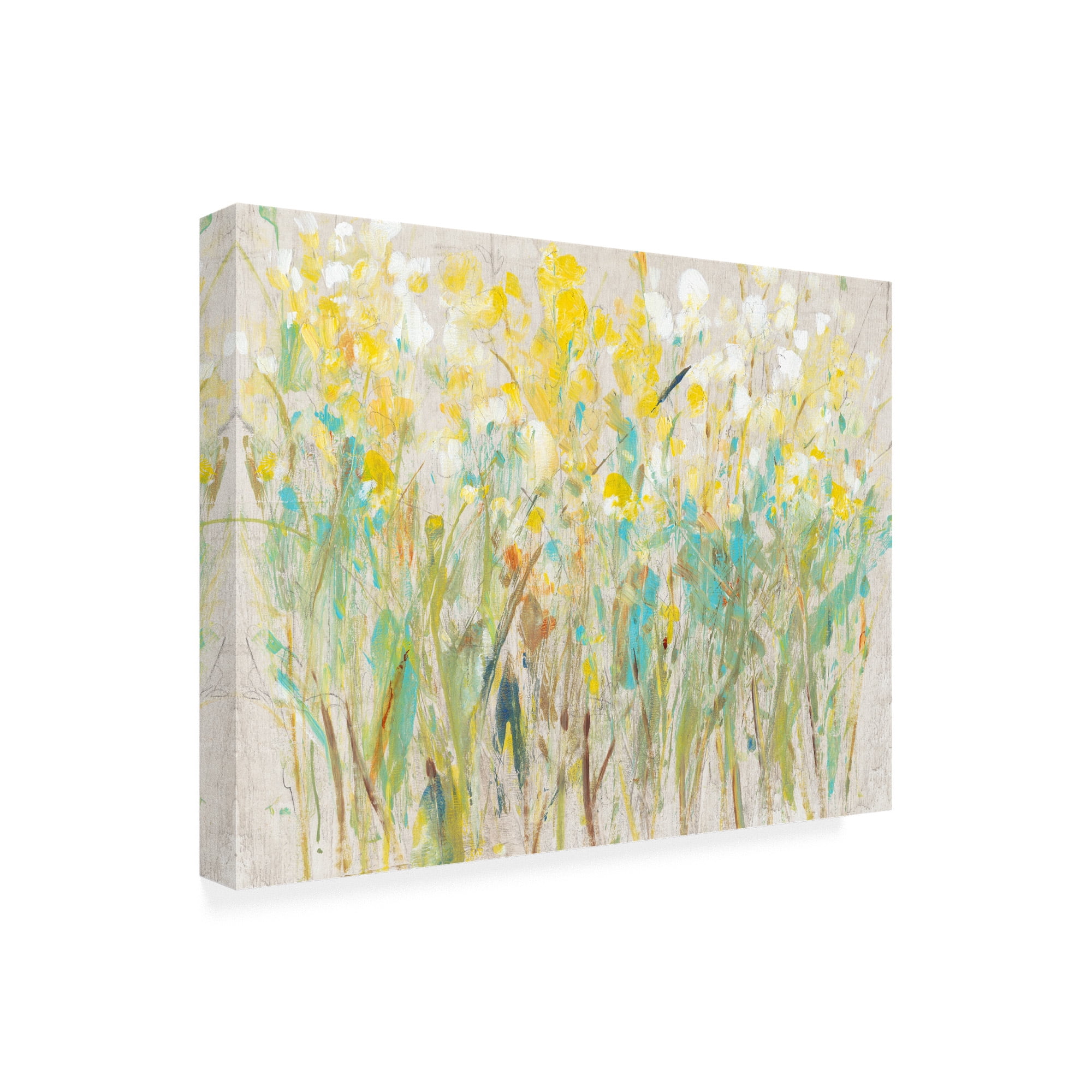 Trademark Fine Art 'Floral Cluster I' Canvas Art by Tim OToole
