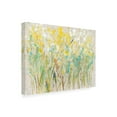 thumbnail image 2 of Trademark Fine Art 'Floral Cluster I' Canvas Art by Tim OToole, 2 of 4