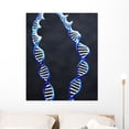 thumbnail image 1 of Double Helix Wall Mural by Wallmonkeys Peel and Stick Graphic (36 in H x 29 in W) WM298560, 1 of 4