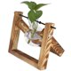 thumbnail image 4 of Terrario de Plantas Vintage Con Soporte de Madera, Florero de Vidrio para decoración de Oficina en Casa, 4 of 7