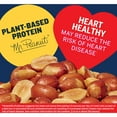 PLANTERS Roasted Salted Redskin Spanish Peanuts, Crunchy Salty Snack