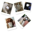 thumbnail image 3 of Adjustable Breathable Dog Muzzle Respirator – Reusable Air Filter Mask for Small, Medium & Large Dogs (20x15x2cm), 3 of 6