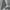Gray, variant on ShomPort Cargo Capri Pants with Pockets for Women Summer Drawstring Elastic Waist Slim Sports Yoga Pants