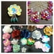 thumbnail image 2 of Lentejuelas,Coser Lentejuelas,Lentejuelas Sueltas,Lentejuela,adornos,Bricolaje y manualidades,Decoración de prendas,Materiales de costura,Hallazgos para hacer joyas,Accesorios de bricolaje, 2 of 9