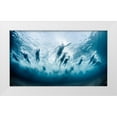 thumbnail image 1 of Lopresti, Davide 24x15 White Modern Wood Framed Museum Art Print Titled - Swim, 1 of 4