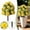 U, variant on Artificial Flowers for Outdoors Artificial Plants for Outdoors Fake Outdoor Flowers Uv Flowers and Plants for Outside Outdoor Fakeplants Flowers