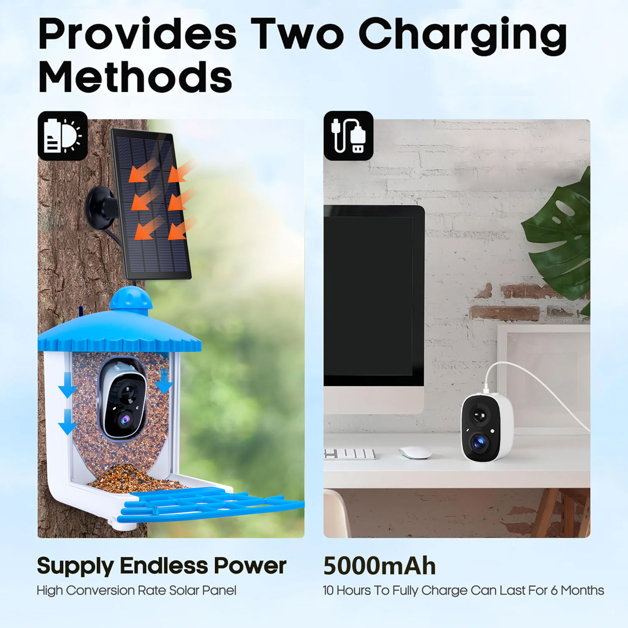 TPUFO Smart Bird Feeder with Camera, 2K HD Bird Watching Camera, Auto Capture Bird Videos & Motion Detection, AI Identify 11000+ Species, Ideal Gift for Bird Lover