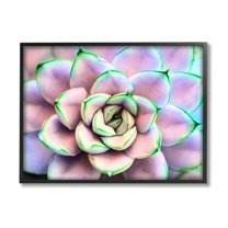 Stupell Industries Purple & Green Succulent Petals Botanical & Floral Photography Black Framed Art Print Wall Art