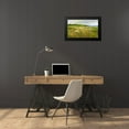 thumbnail image 4 of Finch, Sheila 24x16 Black Modern Framed Museum Art Print Titled - Montara Bluffs, 4 of 5
