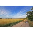 thumbnail image 2 of Catcher Rye No Wall Mural Decal Sticker, Wallmonkeys Peel & Stick Vinyl Graphic (48 in W x 32 in H, 2 of 4