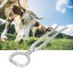 thumbnail image 4 of Alicates De Nariz De Ganado, Alicates De Instalación De Anillo De Nariz Que Perforan Rápidamente Para Equipos De Ganado De Granja Para Anillo De Nariz De Vaca ZAQW Livestock Accessory, 4 of 8