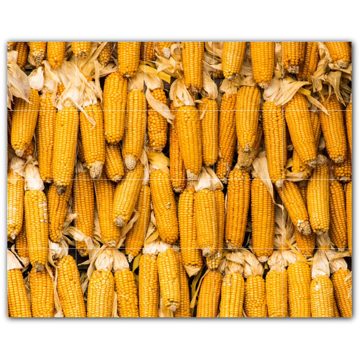 Farm Ceramic Tile Wall Mural WAL50059754XL. 60"W x