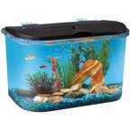 Hawkeye 5 Gallon Starter Aquarium Kit with LED Lighting