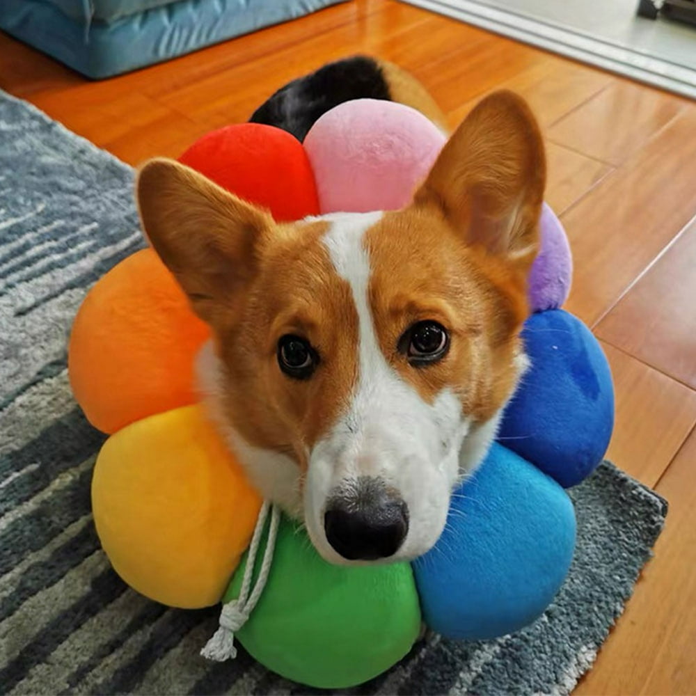 Dog Cat Cone Soft Recovery Cat Cone Collar Biteresistant Dog