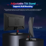 TITAN ARMY P2510HS 24.5 300Hz Gaming Monitor, Vivid Color Display, Fast IPS, 1ms, HDR400, FreeSync, FHD 1080P Tilt Adjustability for Esports, Black