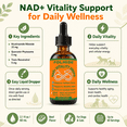 thumbnail image 6 of POLHIDE NAD+ Vitality Drops Dog and Cat Liquid Supplement, Nicotinamide Riboside, Quercetin Phytosome & Trans-Resveratrol, Beef Flavor, 2.1 fl oz / 60 mL, 6 of 9