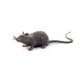 thumbnail image 1 of Plastic Rat Toy, Halloween Decoration, Terrible Prank Props, 1 of 2