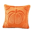 thumbnail image 2 of Farmhouse Living Room Decor, 18X18 Inch Orange Quilted Plush Halloween Throw Pillow Cover, Indoor Fall Home Decor for Halloween Party, Soft Fall Pumpkin Decor Cushion Case, 1, 2 of 3