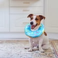 thumbnail image 4 of Pet Elizabeth Donut Collar - Soft Protective Recovery Neck Cone, Adjustable Anti-Bite Grooming Headgear for Dogs & Cats, Cute Costume for Post-Surgery Healing, Blue, L, 4 of 5