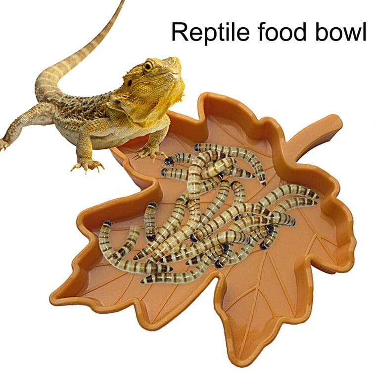 Pets at home reptile hot sale food
