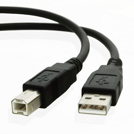 USB Cable for HP Photosmart 145 Compact Photo Printer (10 Feet) by