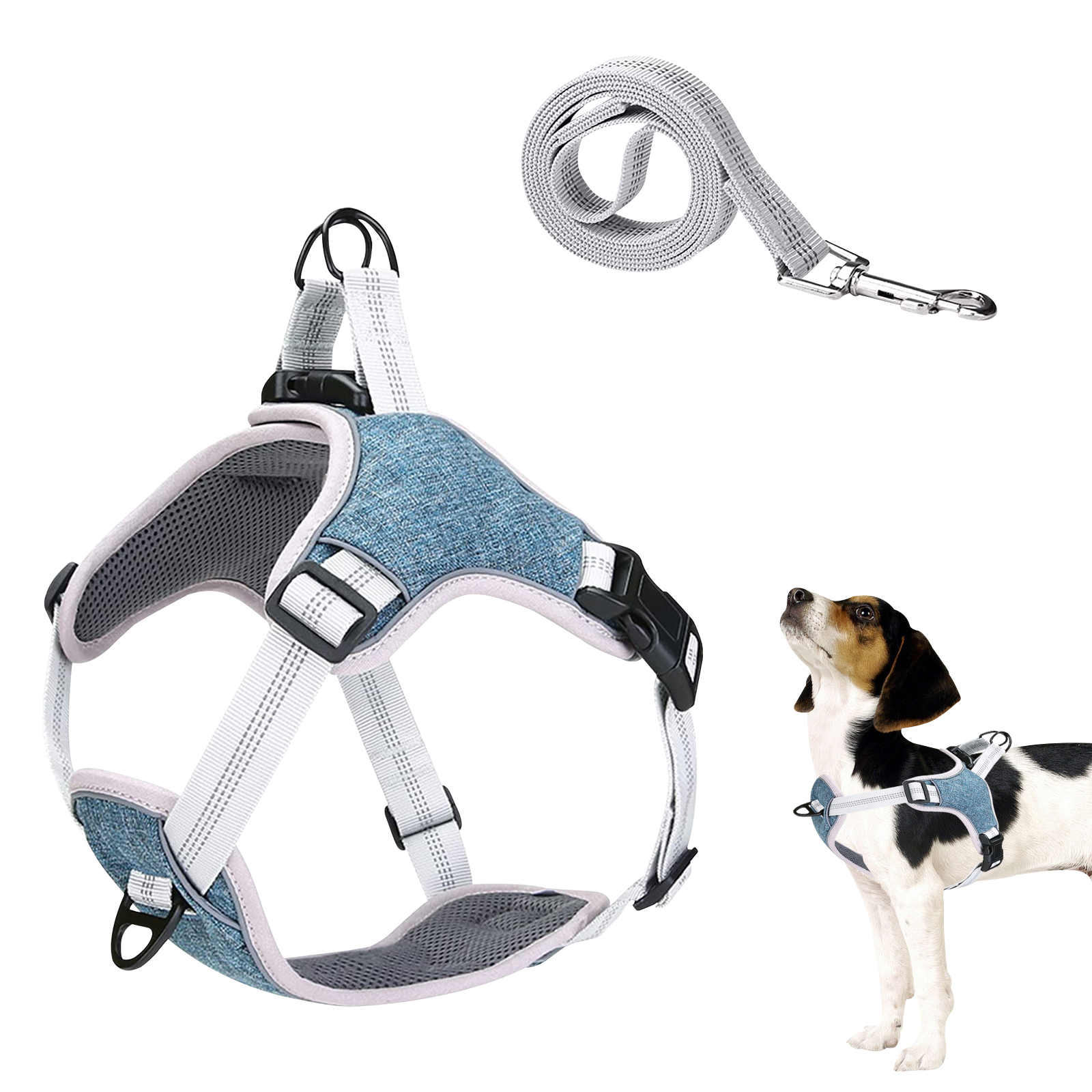 Where Does A Dog Step In Harness Clip