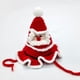 thumbnail image 2 of Como Gatos y Perros, Sombreros y Accesorios Navideños, Árboles de Navidad de Papá Noel de Lana Tejidos a Mano, 2 of 3