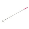 Stainless Steel Telescopic Bear Claw Back Scratcher Handheld Massage Tool