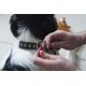 thumbnail image 5 of Collar para perro Petmate Dogzilla 1,6 cm x 25-41 cm rosa talla M, 5 of 5