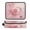 Pink Rose Pattern, variant on Hair Tool Organizer Bag with Heat Resistant Mat Removable Travel Storage Case for Hot Air Brushes Curling Irons Red Roses and Hearts Pattern
