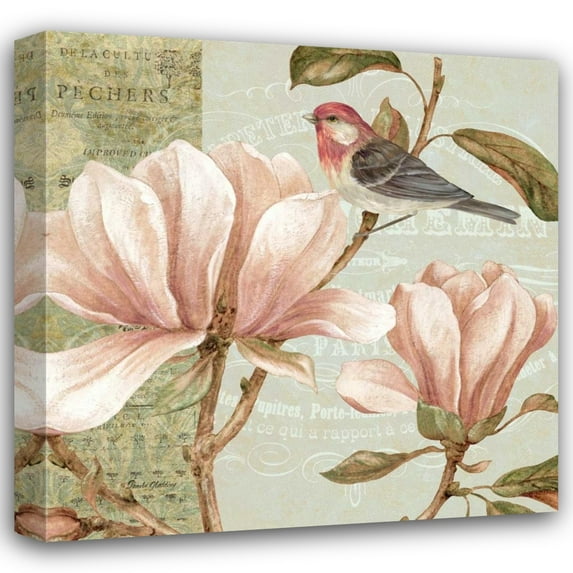 Pamela Gladding 36x36 Gallery Wrapped Canvas Wall Art Titled - Magnolia Collage I