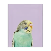 Stupell Industries Pastel Budgie Bird Animals Painting Wrapped Canvas Art Print Wall Art, 16 x 20