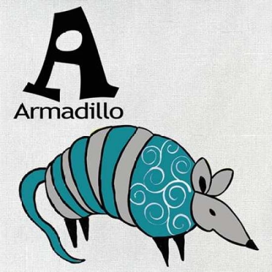 A - Armadillo Canva