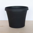 thumbnail image 3 of Bloem TR1600 16 in. Terra Pot Planter, Black, 3 of 8