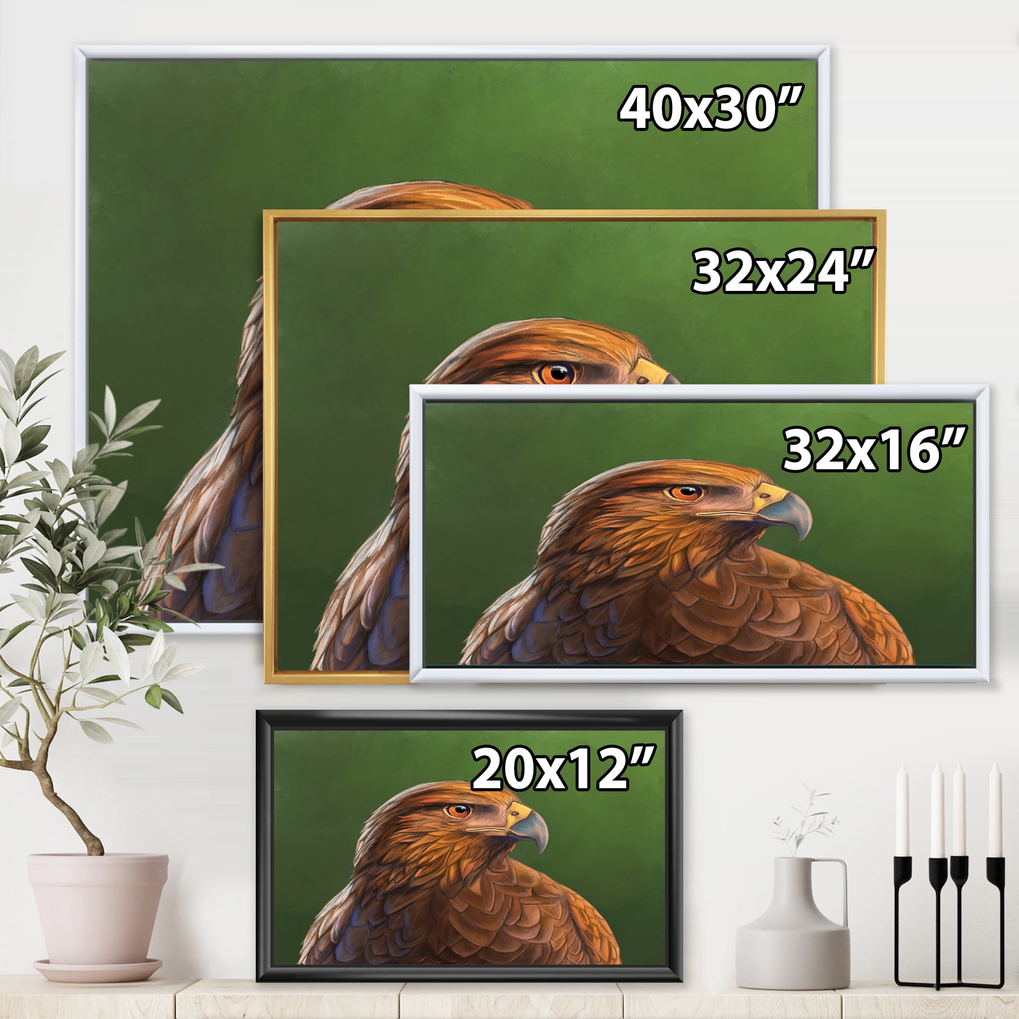 Designart 'Close UP Of Harris Hawk Bird' Traditional Framed Canvas Wall Art Print