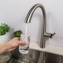 Kitchen Faucet with Pull Out Spout Sprayer Single Handle Stainless Steel Brushed Nickel