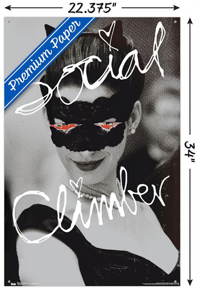 DC Comics Movie - The Dark Knight Rises - Catwoman - Social Climber Wall Poster with Push Pins, 22.375" x 34"