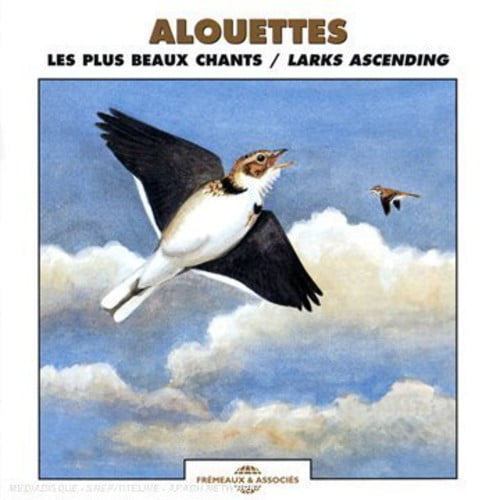 Sounds of Nature - Larks Ascending - New Age - CD