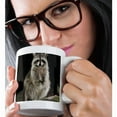 thumbnail image 2 of 3drose, Northern Raccoon Wildlife, Hill Country, Texas - Na02 Rnu0710 - Rolf Nussbaumer, 11oz Mug, 2 of 6