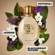 thumbnail image 4 of Perfume Diesel Fuel For Life Eau De Parfum 50 ml Mujer, 4 of 7