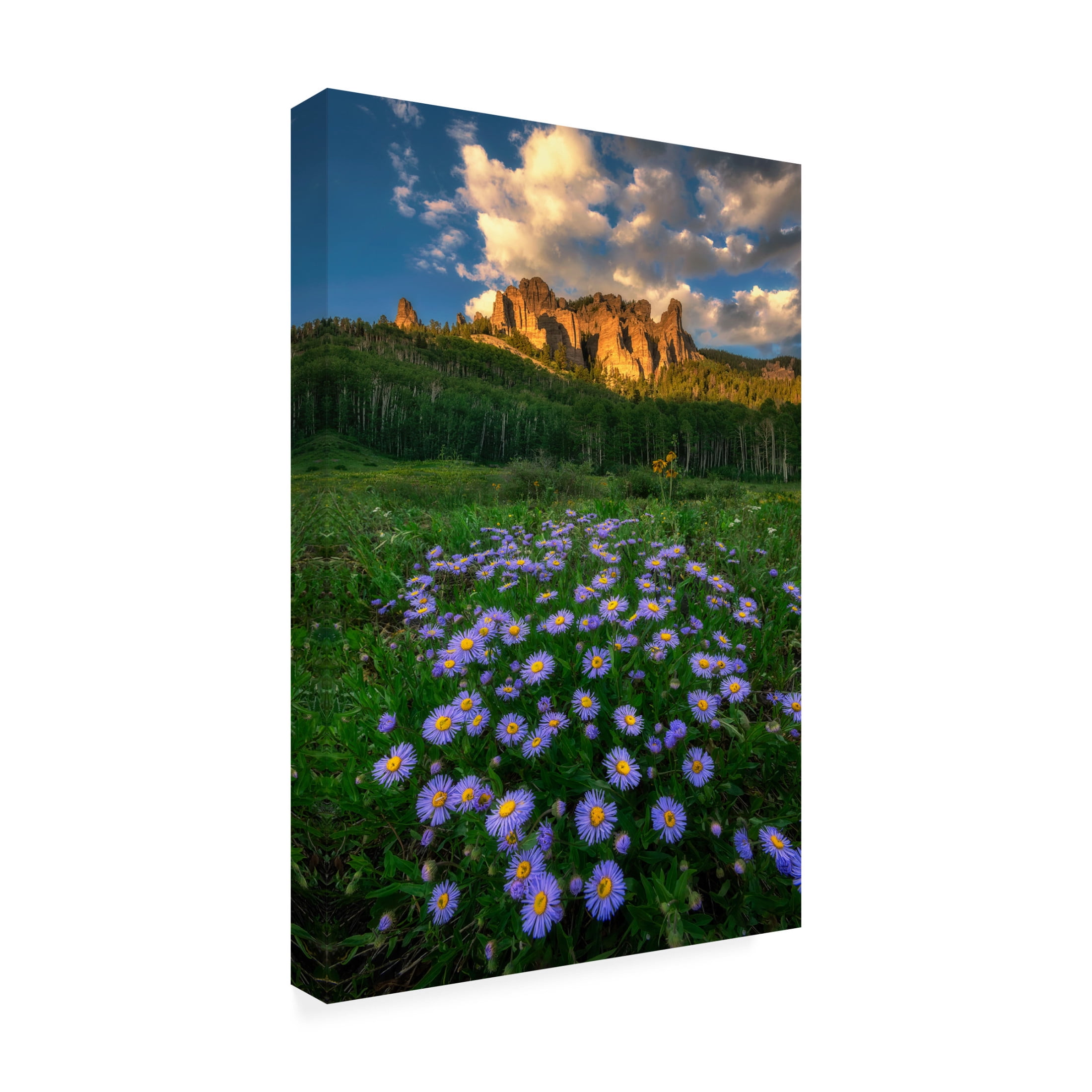 Canvas Wall Art - Mei Xu 'Canyon And Daisies' Wall Art for Living Room, Bedroom, or Office Décor by Trademark Fine Art - 30 x 47 Inches