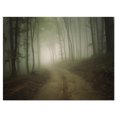 thumbnail image 2 of Route Forestière Foncée d'Automne le Matin - Impression sur Toile Photographie de Paysage, 2 of 3